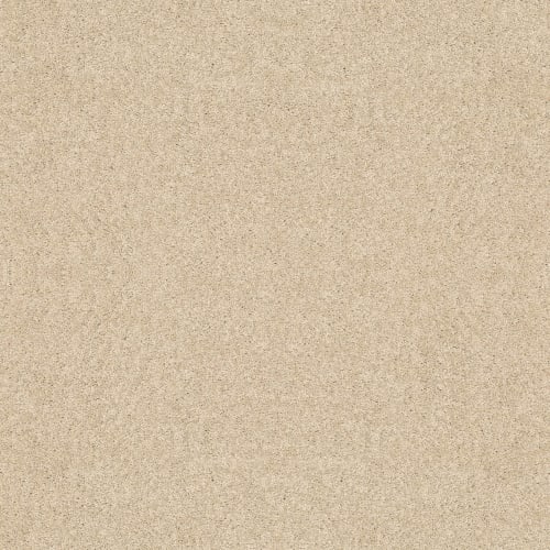 Durable carpet with a limited lifetime abrasive wear warranty